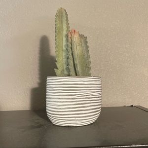 Cute Fake Cactus Plant